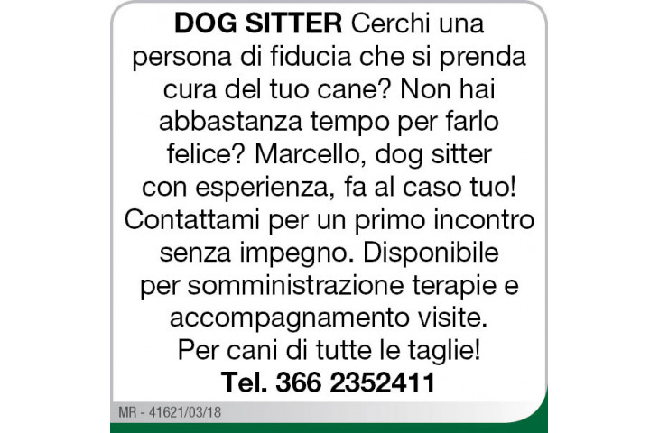 Dog sitter Dog sitter