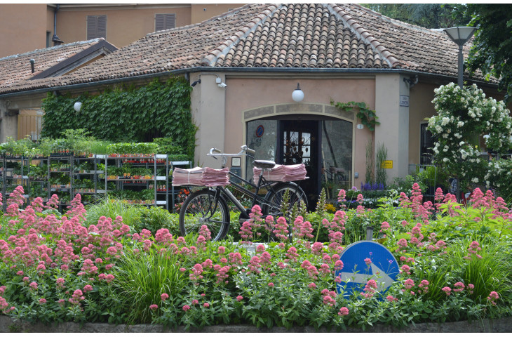 Alessifiori 100anni di giro Alessifiori 100anni di giro