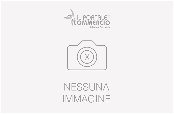 Fumetti \'il piccolo ranger\',