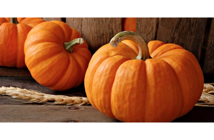 Venerdi 9 novembre festa della zucca Venerdi 9 novembre festa della zucca