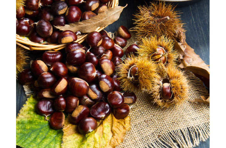 Venerdi 25 ottobre serata delle castagne Venerdi 25 ottobre serata delle castagne